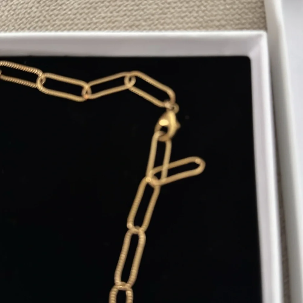NIB Aligheri Gemini twins necklace with link chain. Sold out - Picture 4 of 4